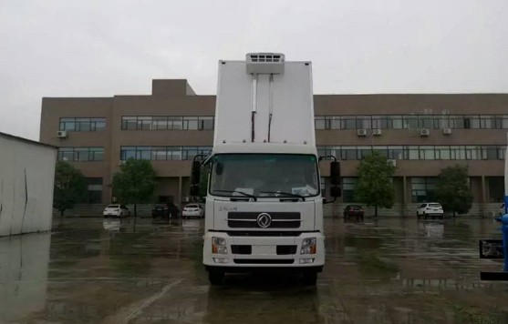 �o�������܇�DƬ