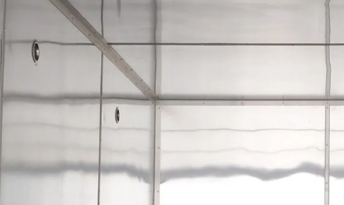 ���w�Ȳ����ö����X�Ͳ���߅