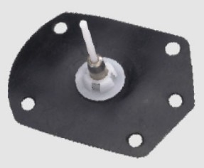 ���͘�ĤƬ�����к��ֱ��M��