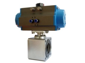 ����p�����y